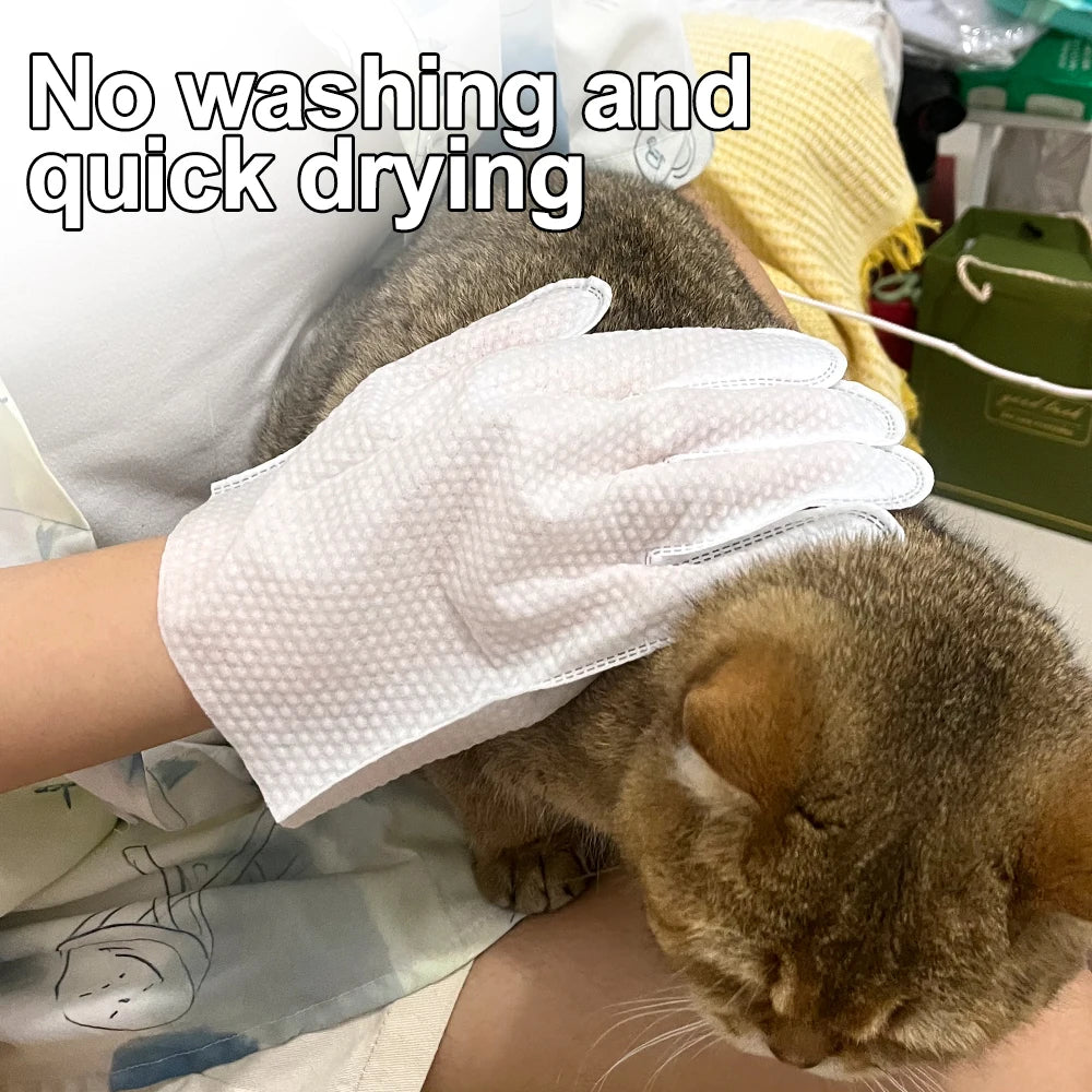 30/6PCS Cat Dog Disposable Glove Towels Pet Wash Free Glove No Rinse Washing Gloves Towels Deodorizing Dry Cleaning Wet Towels - Fullshopping
