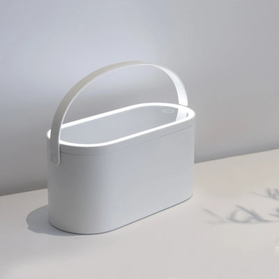 Cosmetic Storage Box, Cosmetic Bag, Makeup Bag, Portable Toiletry Case, Travel Cosmetic Case With Mirror And LED Lights; Great G - Fullshopping