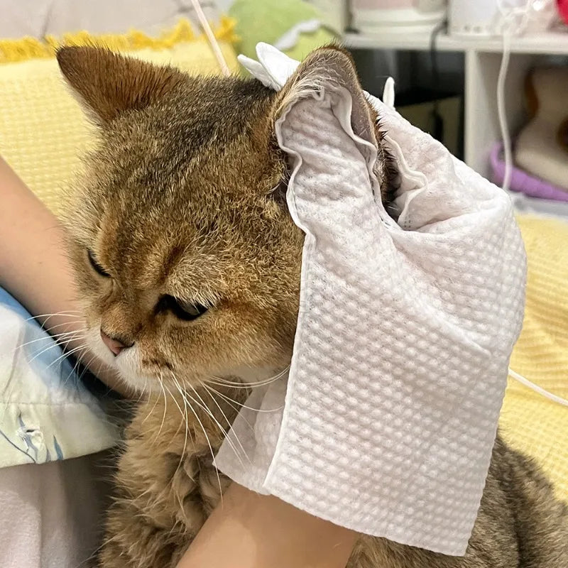 30/6PCS Cat Dog Disposable Glove Towels Pet Wash Free Glove No Rinse Washing Gloves Towels Deodorizing Dry Cleaning Wet Towels - Fullshopping