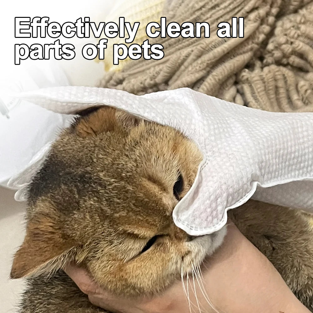 30/6PCS Cat Dog Disposable Glove Towels Pet Wash Free Glove No Rinse Washing Gloves Towels Deodorizing Dry Cleaning Wet Towels - Fullshopping