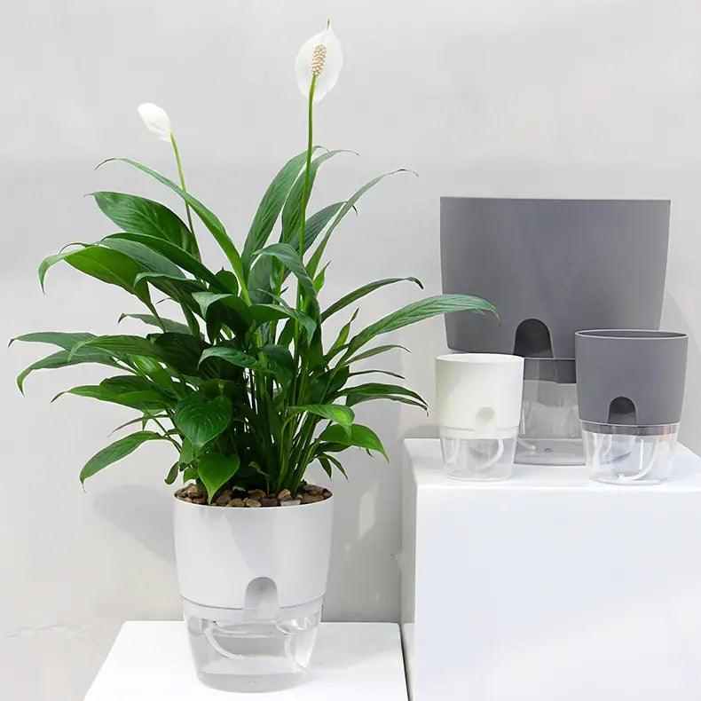 Transparent Double-Layer Self-Watering Flower Pot - fullshopping